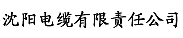 大片传媒电缆厂logo